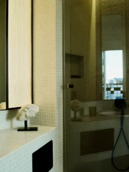 Ancient roman sculpture of a leopard's head and Parisian rooftops reflected in shower door. 